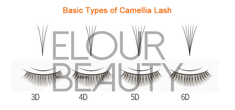 camellia eyelashes.jpg